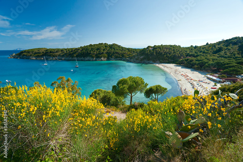 Fetovaia beach, Elba island. Italy.