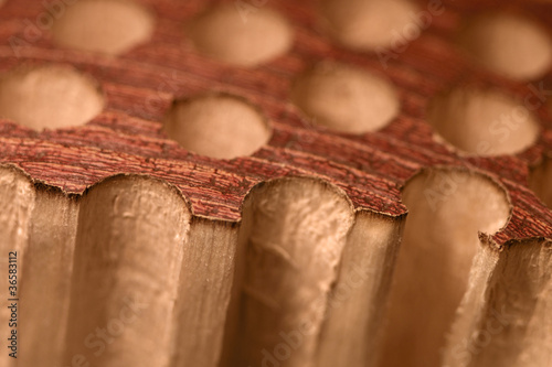 фотографія porous wood detail