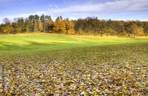 Autumn fields with fallen l...