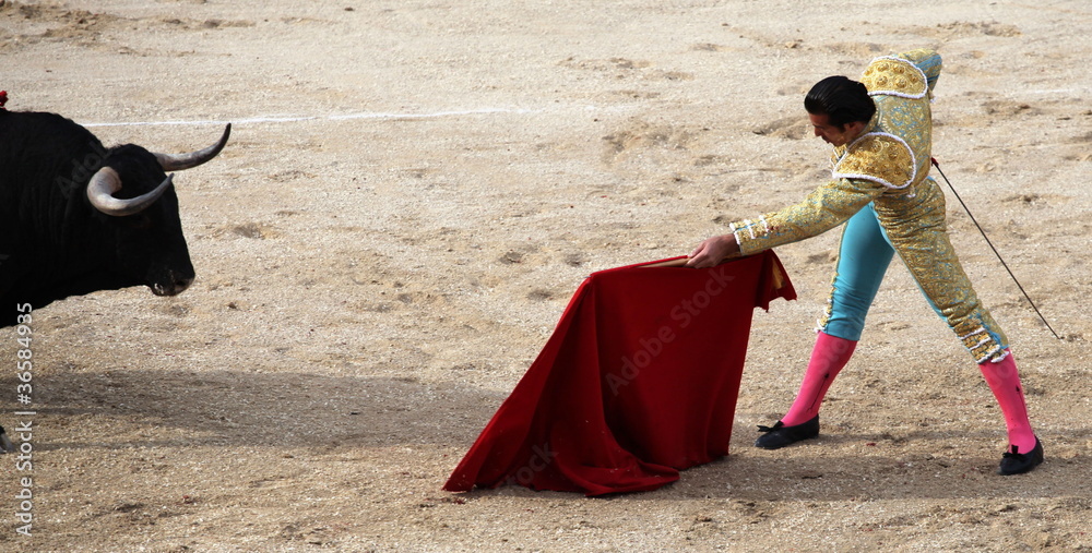 Naklejka premium corrida