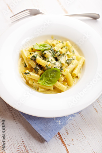 Sedani rigati with blue cheese sauce and spinach photo