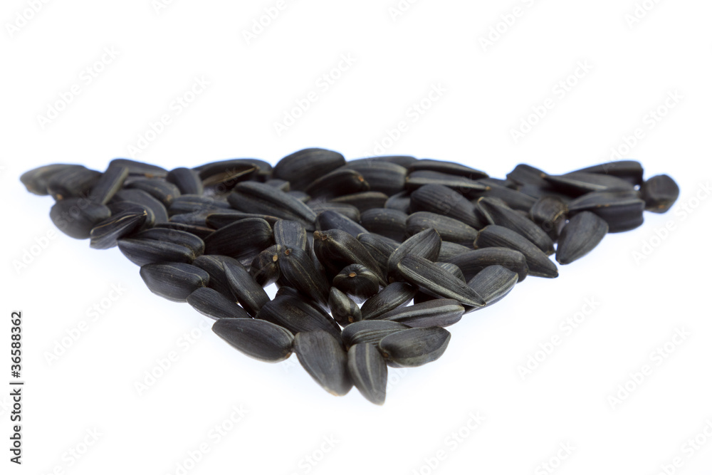 sunflower seeds on white background sunflower seeds on white background
