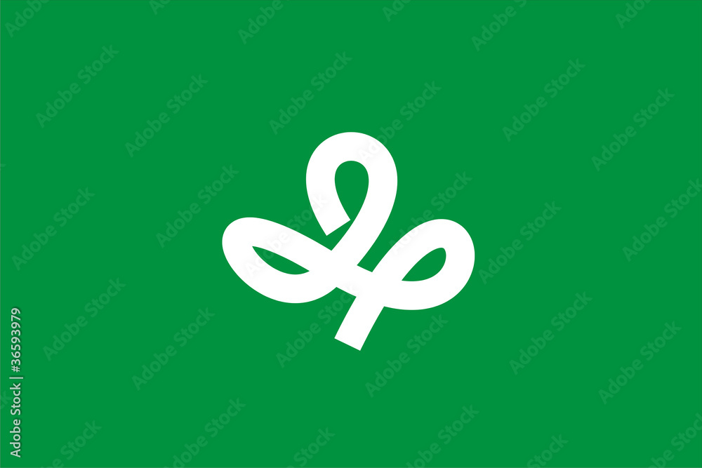 Obraz premium miyagi flag