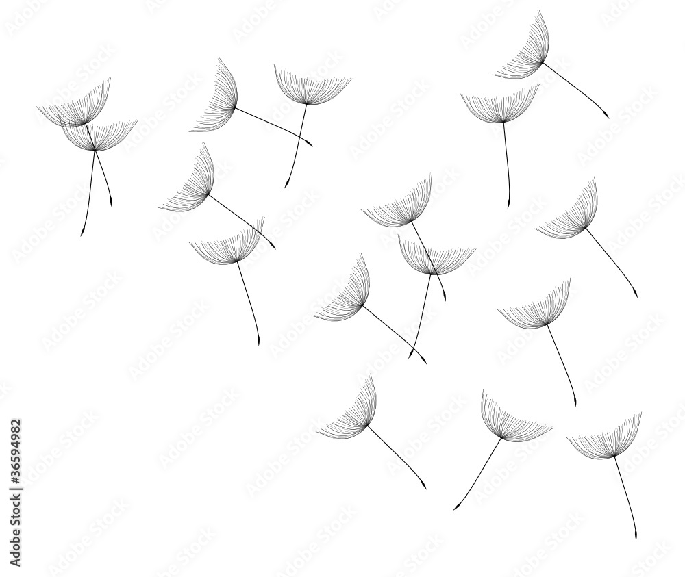 Pusteblume II