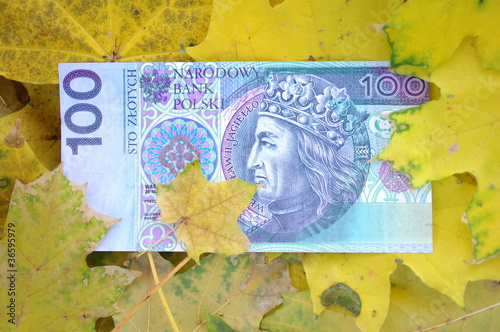 Banknot w liściach
