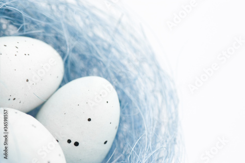 Easter eggs in blue nest
