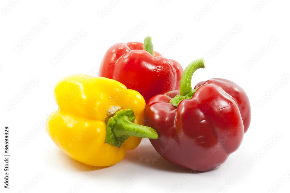 multicolored paprika on white background multicolored paprika on white background