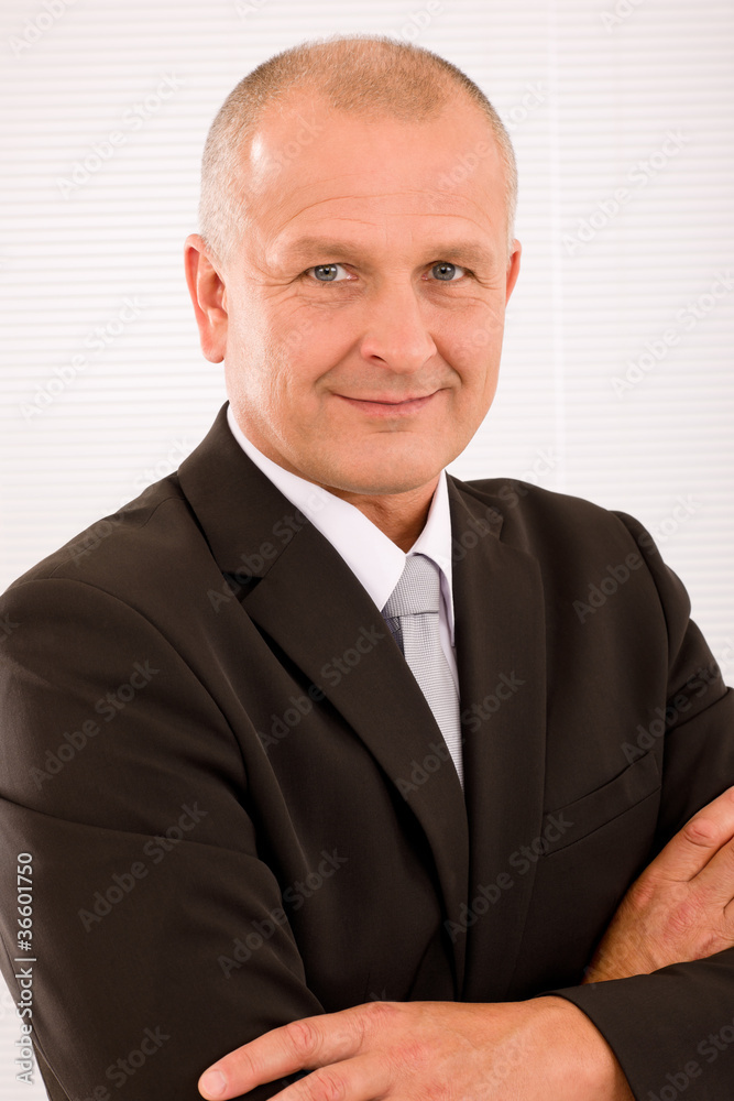 Executive mature businessman professional suit Executive mature businessman professional suit