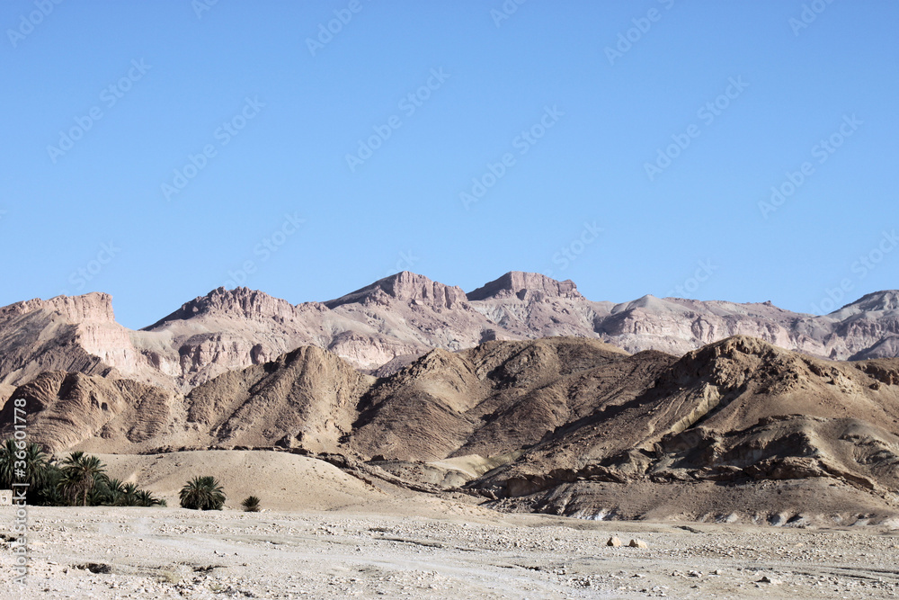 Deserto roccioso