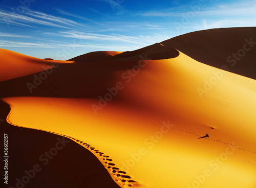 Sand dune with footprints at sunrise  Sahara Desert  Algeria