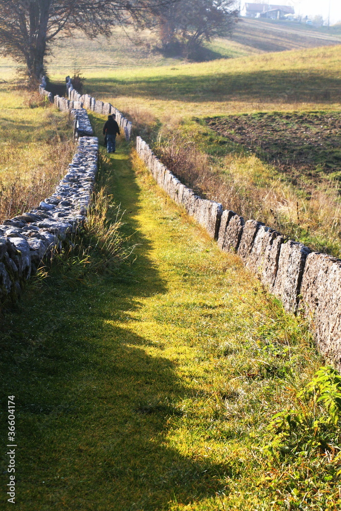 Fototapeta premium mountain trail in an old mule track through the fields