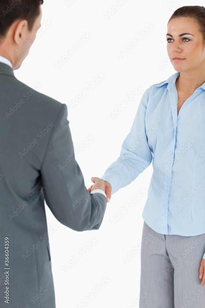 Young business partners doing a deal Young business partners doing a deal