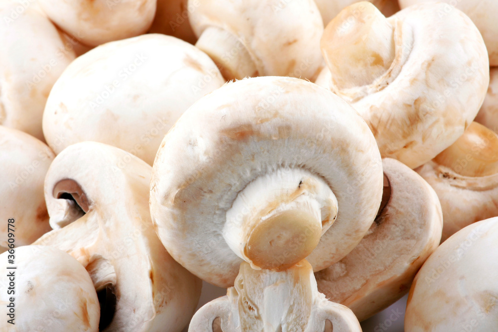 Fresh mushroom Fresh mushroom