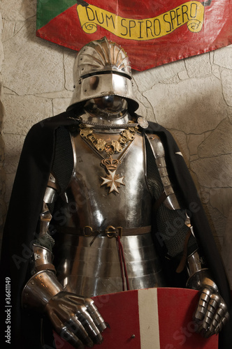 Medieval knight - crusader
