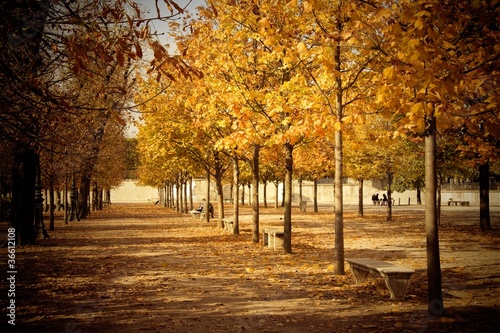 Un après-midi d'automne dans le jardins des Tuileries (Paris)