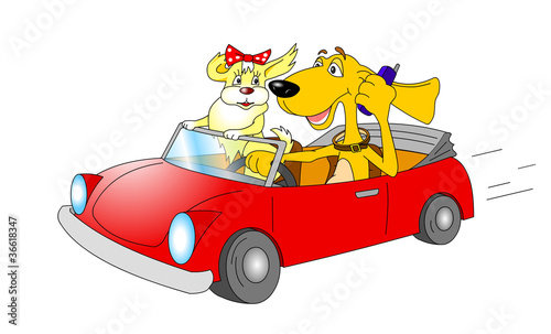 Photography Cartoon dogs in car