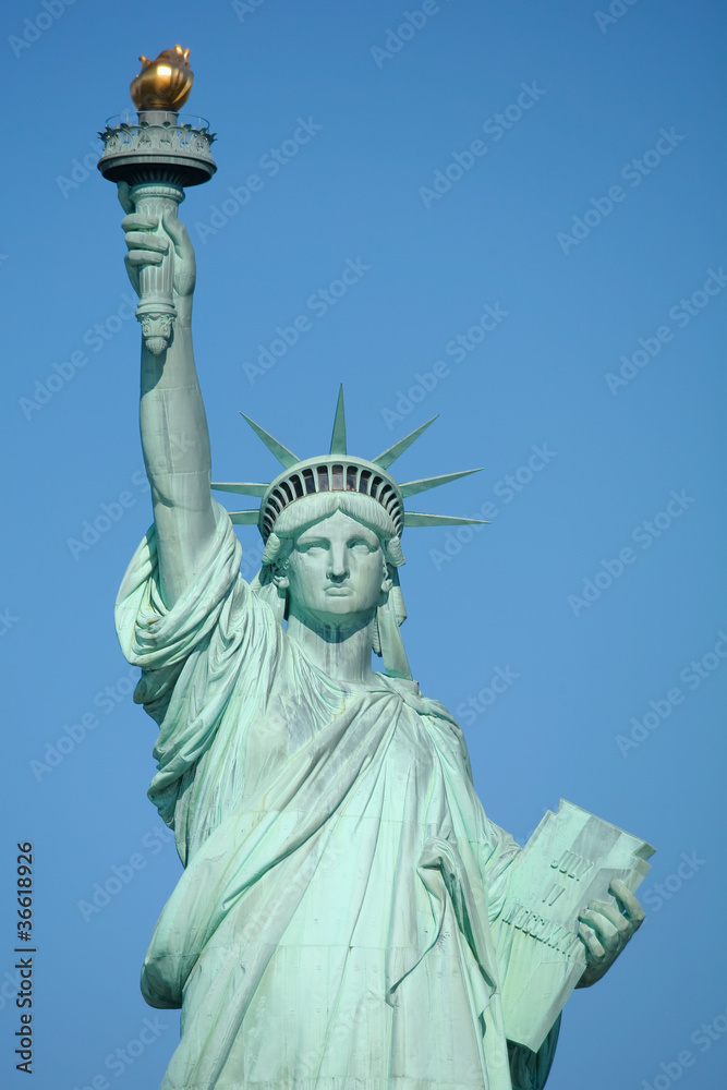 Fototapeta premium statue de la liberté