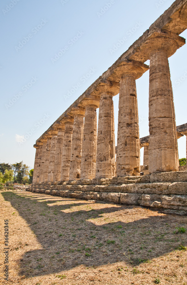 Paestum temple - Italy
