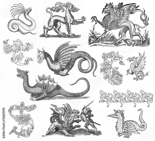 Dragon theme illustration