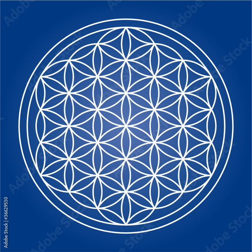 Flower of Life - editable vector lines