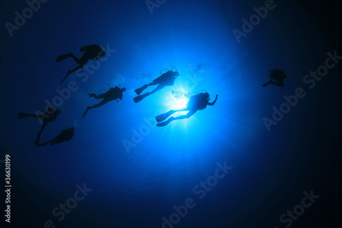 Group Scuba Diving in the Sea