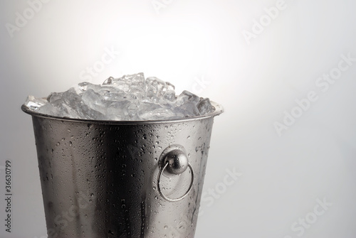 Ice bucket