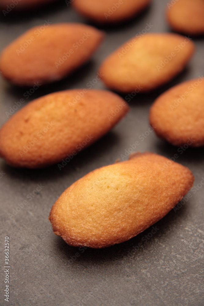 Obraz premium madeleinettes