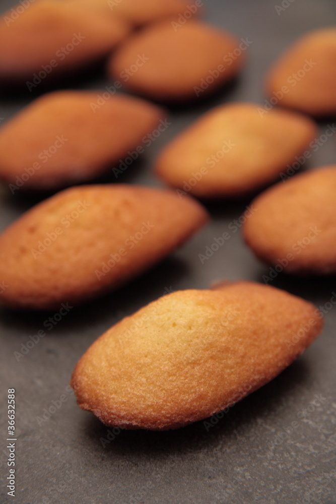Obraz premium madeleinettes
