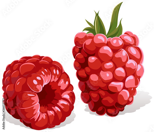 raspberry isolated