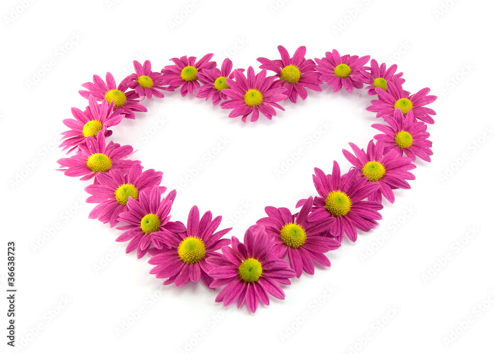 pink flowers in a shape of a heart