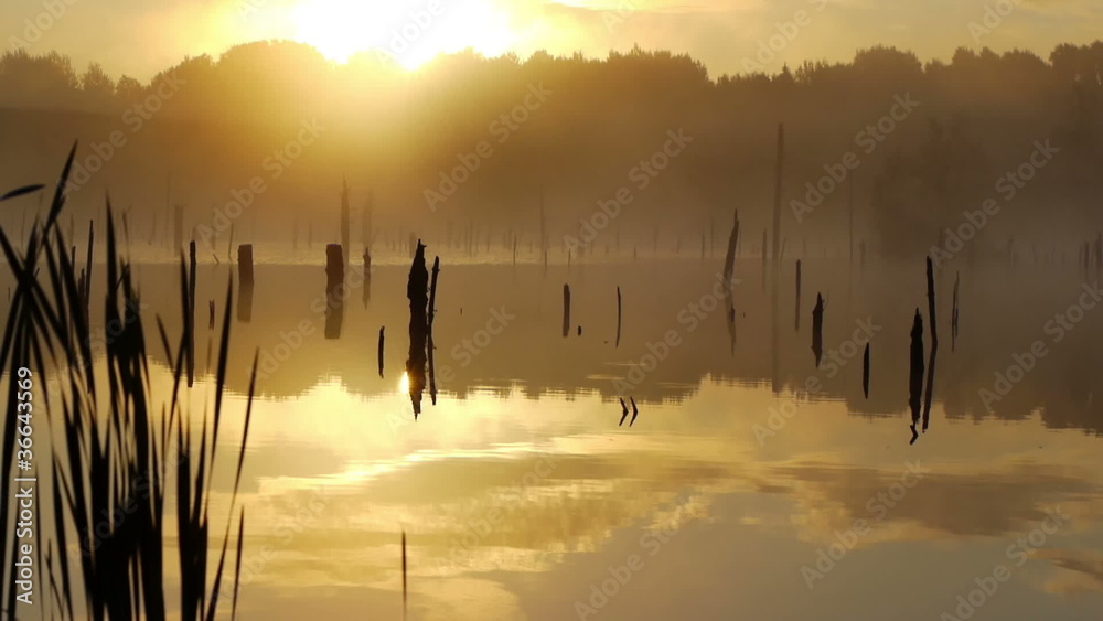 Misty morning sunrise on the marsh Misty morning sunrise on the marsh
