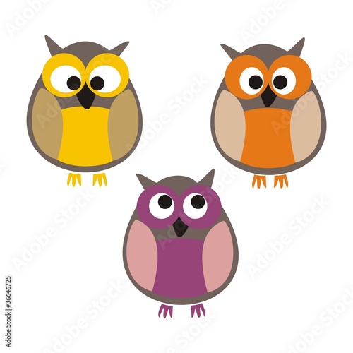 Funny colorful owls vector isolated on white background