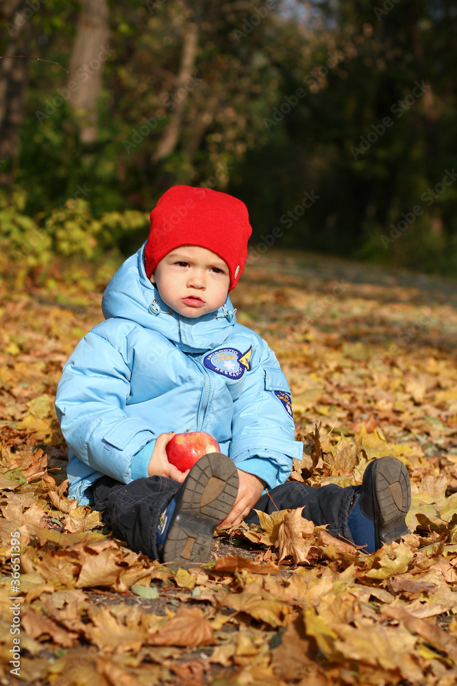 Little boy with two apples on autumn leaves Little boy with two apples on autumn leaves