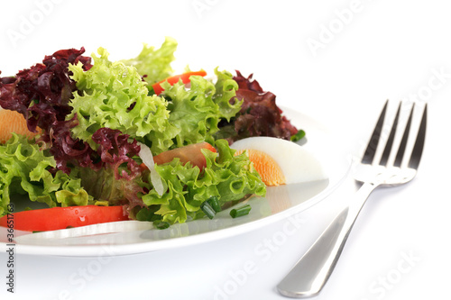 Bunter Salat mit Ei