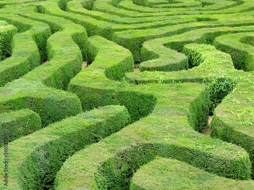 Labyrinth