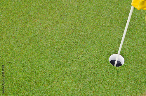 Beautiful green grass pattern from golf course