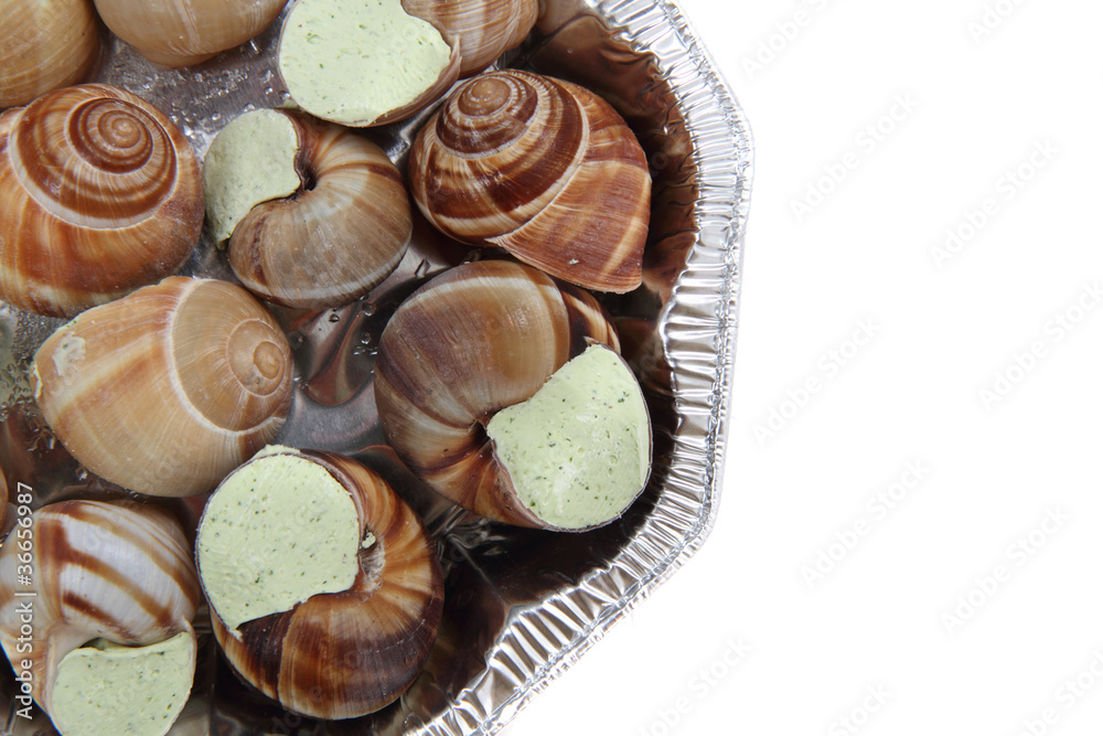 snails as gourmet food snails as gourmet food
