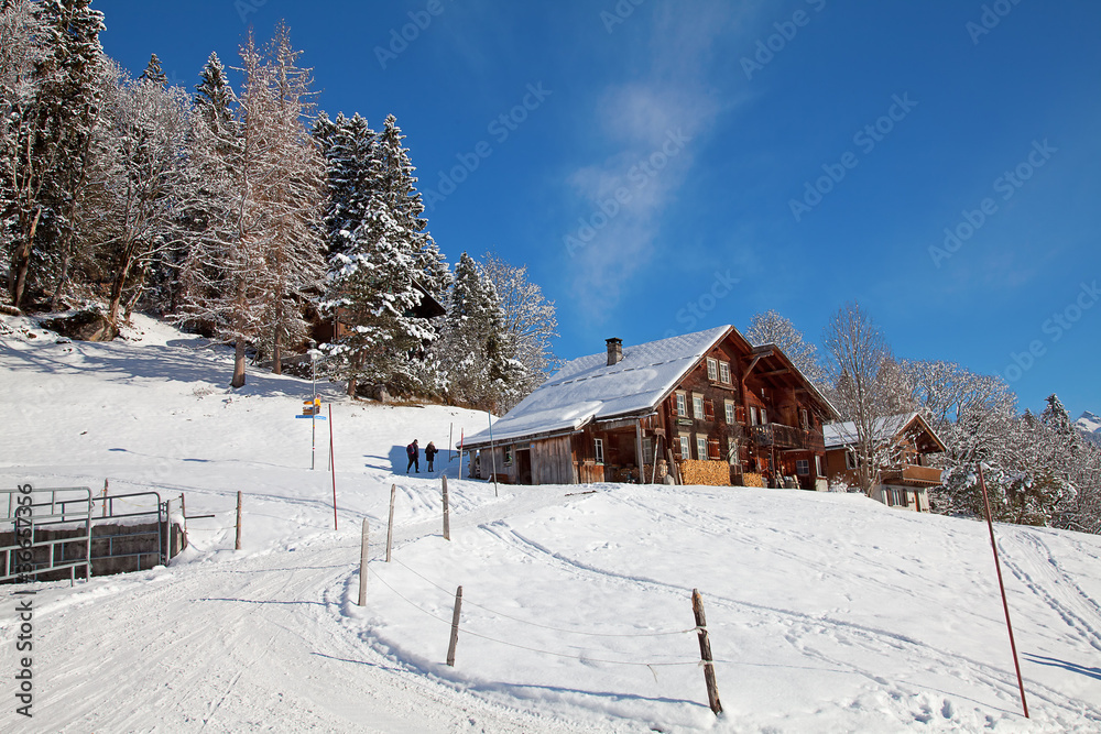 Winter in alps