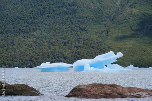 Icebergs fallen from the Perito Moreno glacier