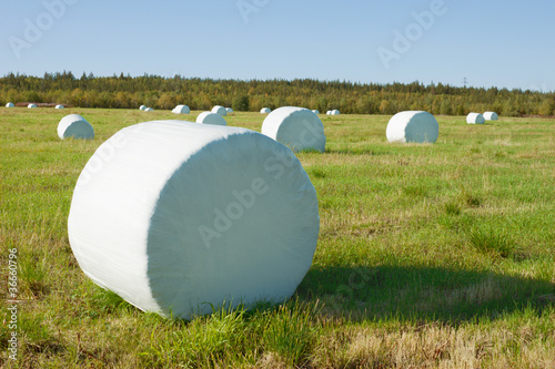 Hay is packed into a white material