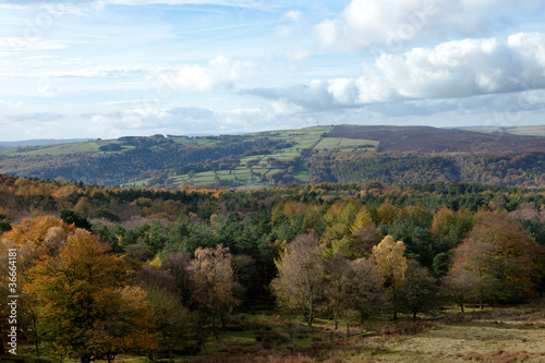 Autumn Forest in the Peak District