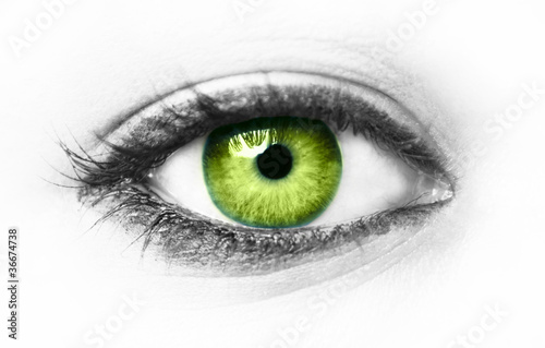 Green eye isolated photo