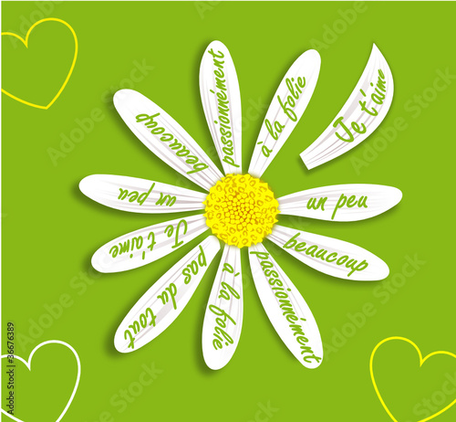 marguerite je t'aime pétale courbé