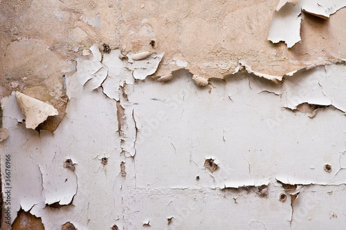 Fényképezés Paint peeling off plaster wall in a derelict building