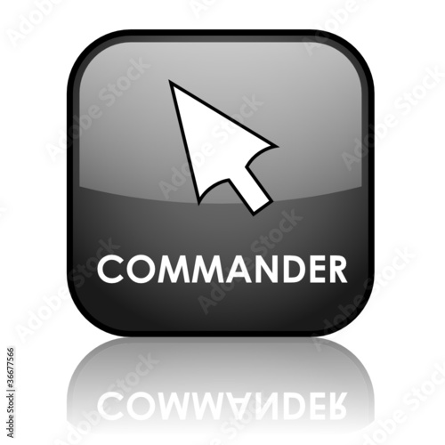 Bouton Web COMMANDER (ajouter au panier acheter payer en ligne)