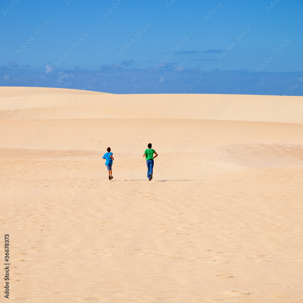 Fuerteventura; Corralejo sand dunes nature park Fuerteventura; Corralejo sand dunes nature park
