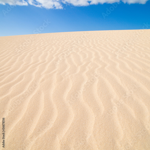 Fuerteventura  Corralejo sand dunes nature park © Tamara Kulikova