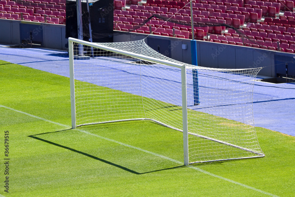 Fototapeta premium Goal