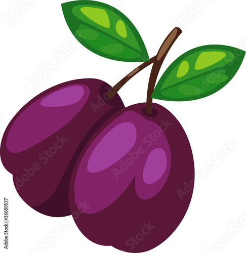 illustration Prune vector file on White background