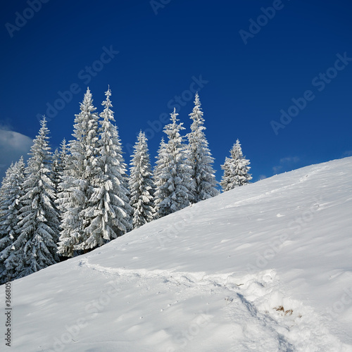Winter landscape © Oleksandr Kotenko